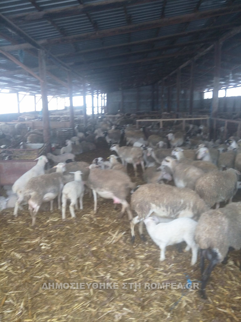 sidirokastro-6