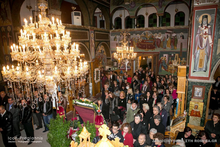 dauleia-8
