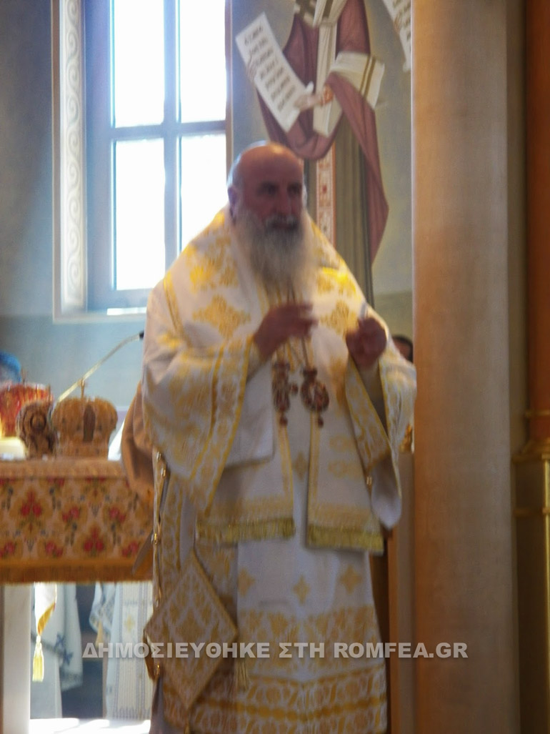 diorthodoxi-8