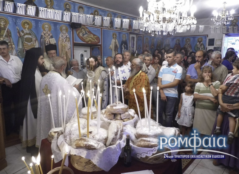 menidi-8