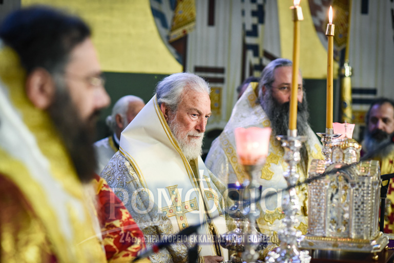 kalaria mnimosino-26