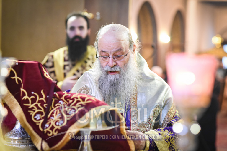 kalaria mnimosino-27