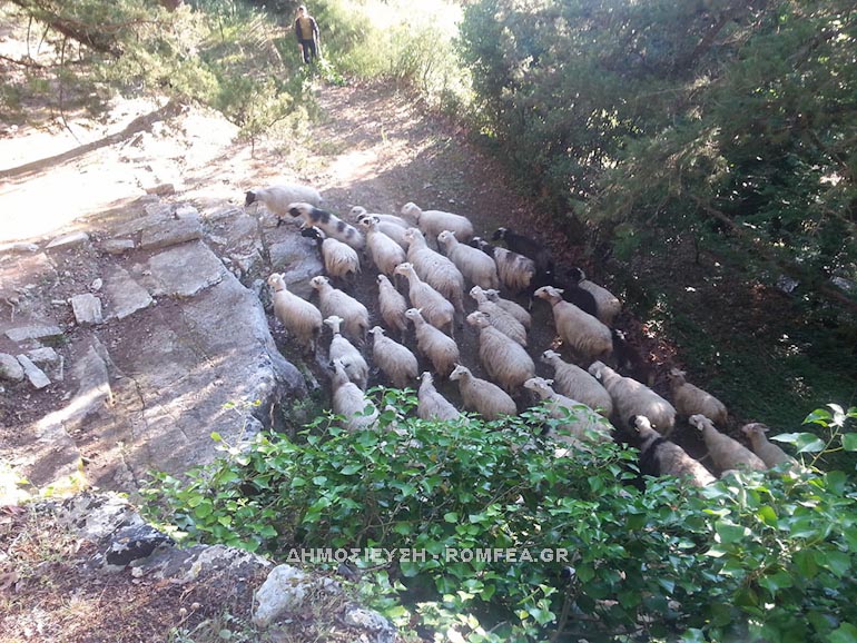 argiroupoli rethimno-10