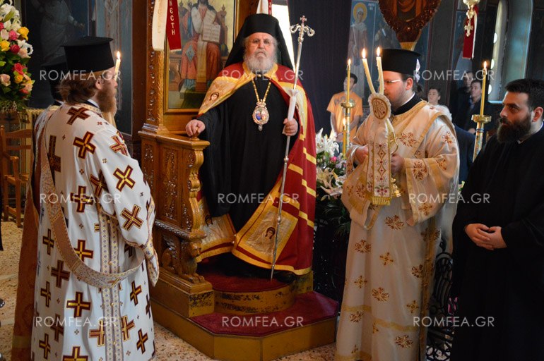 samareitida-11