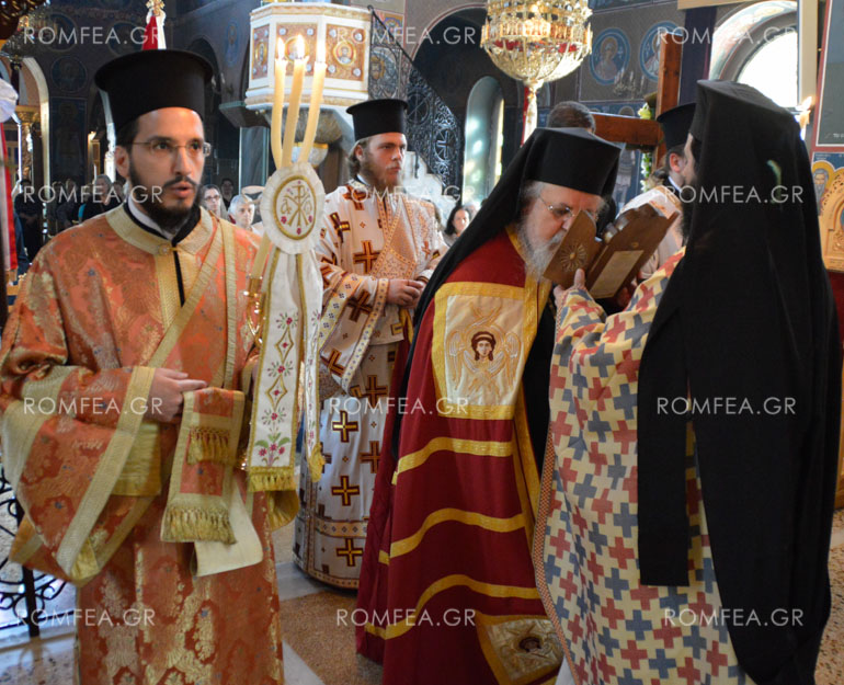 samareitida-13