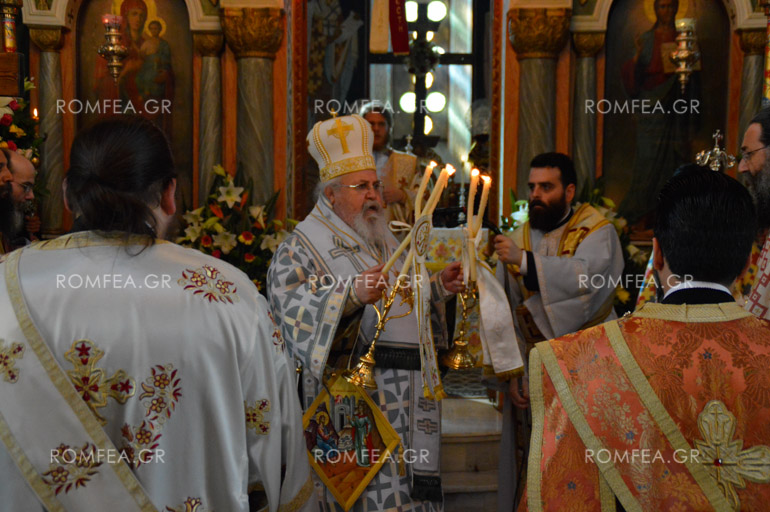 samareitida-25
