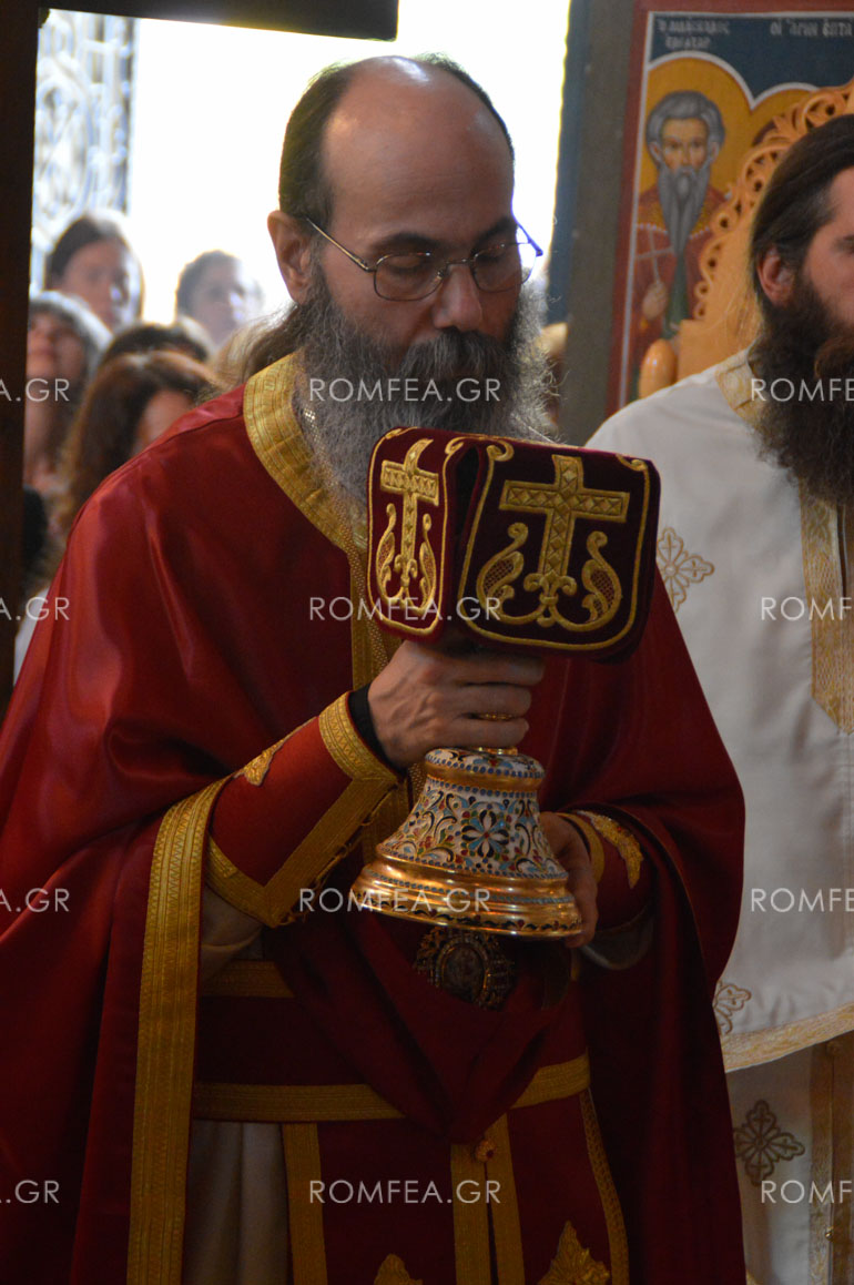samareitida-49