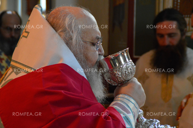 samareitida-58