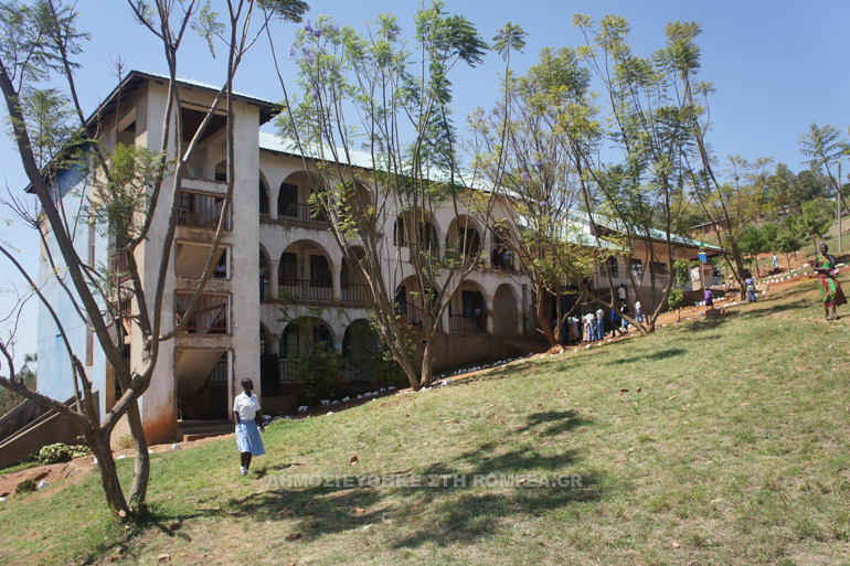 niata-afrikis-1