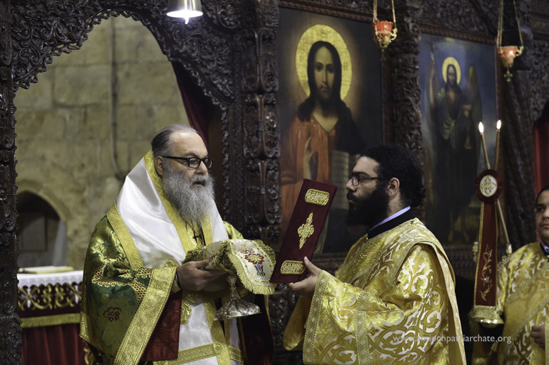 balamand ipoyrgoi-11