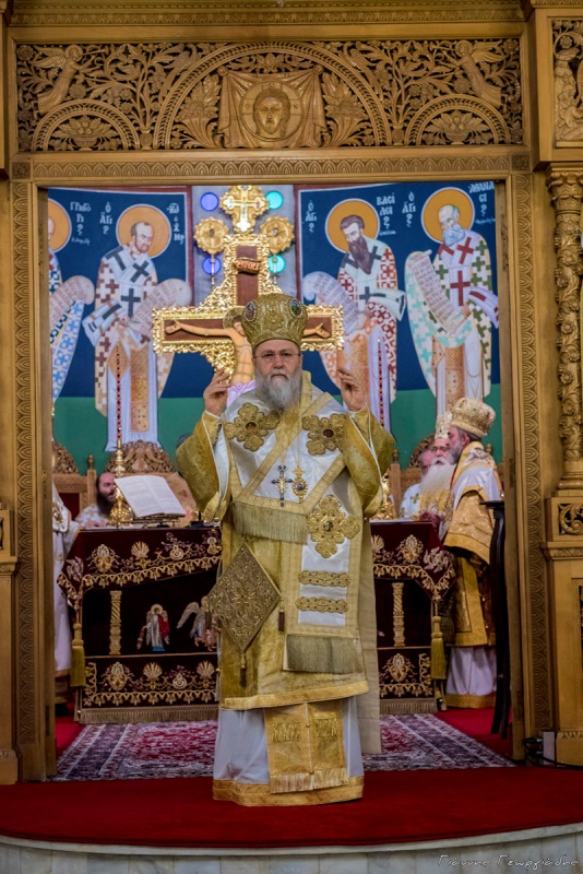 mnimouno damaskinou dimitriados 5