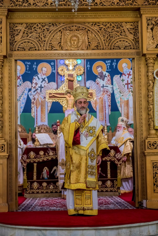 mnimouno damaskinou dimitriados 6