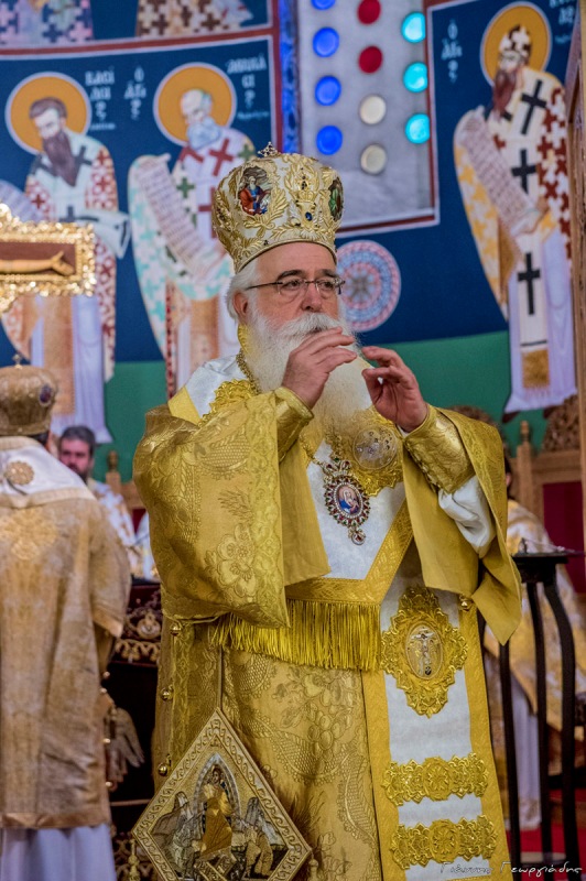 mnimouno damaskinou dimitriados 8