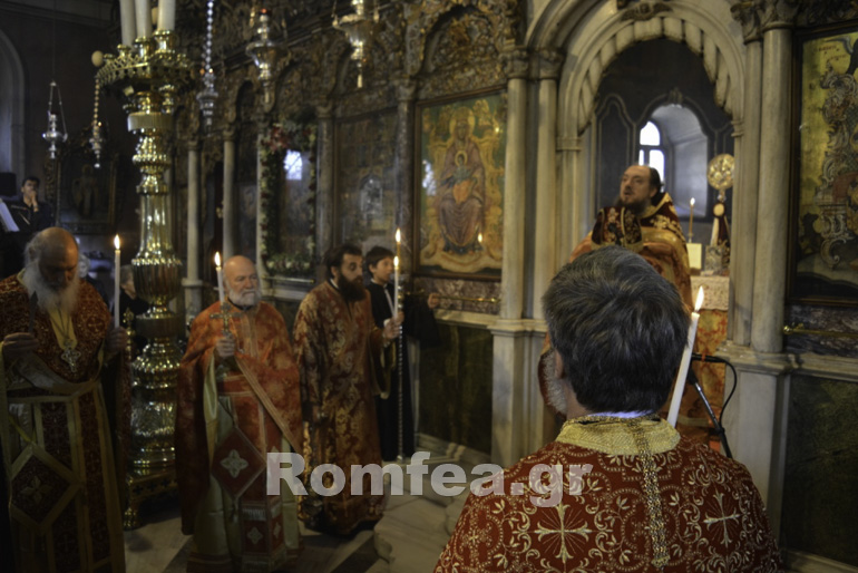 tinos faneros 1