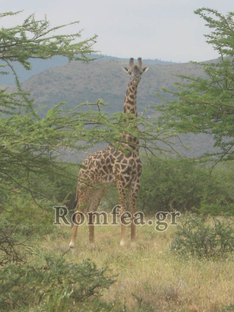 kenias makarios 1