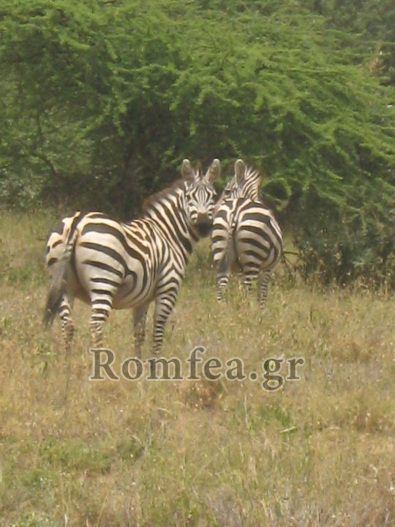 kenias makarios 1