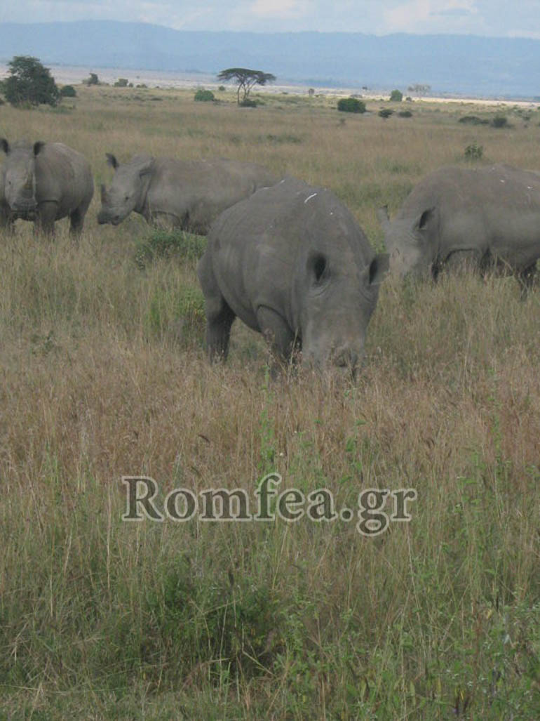 kenias makarios 1