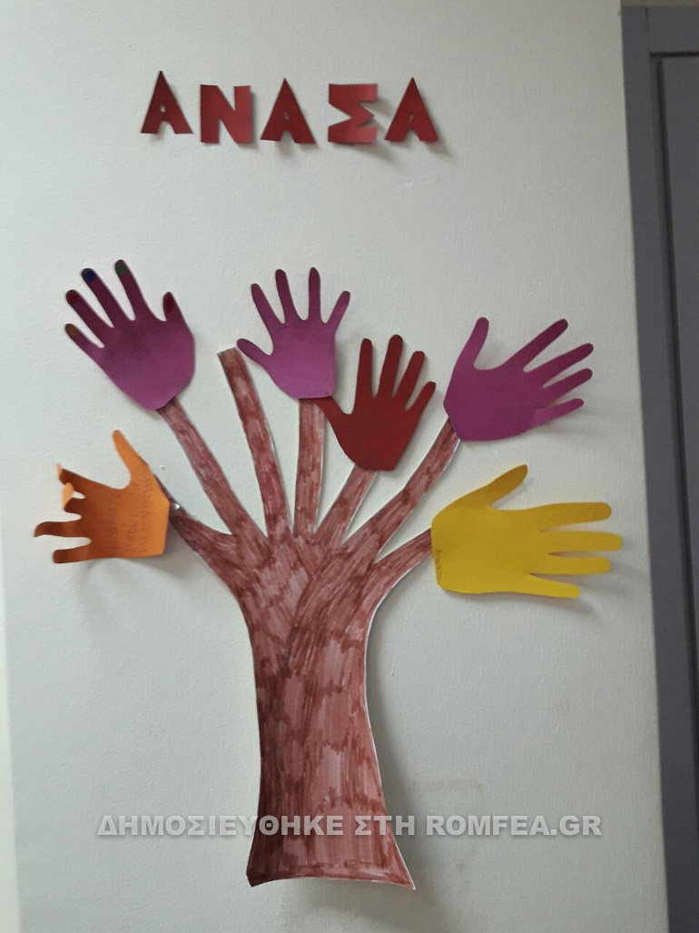 anasa 1