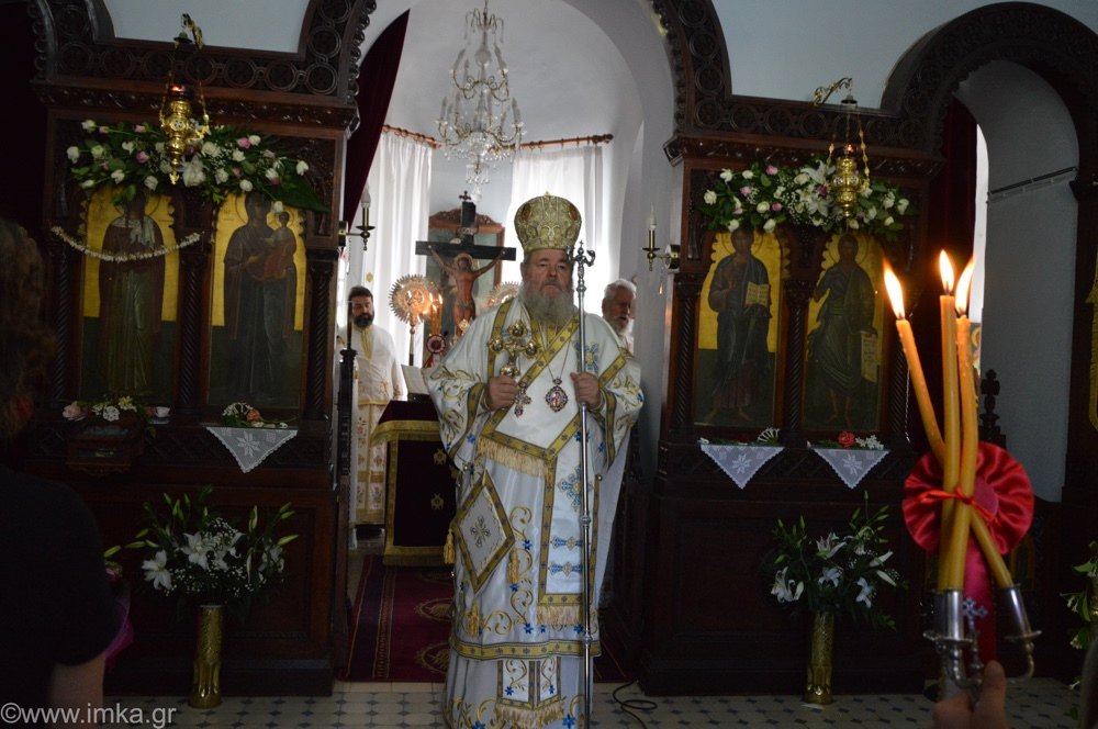apokoronoy damaskinos