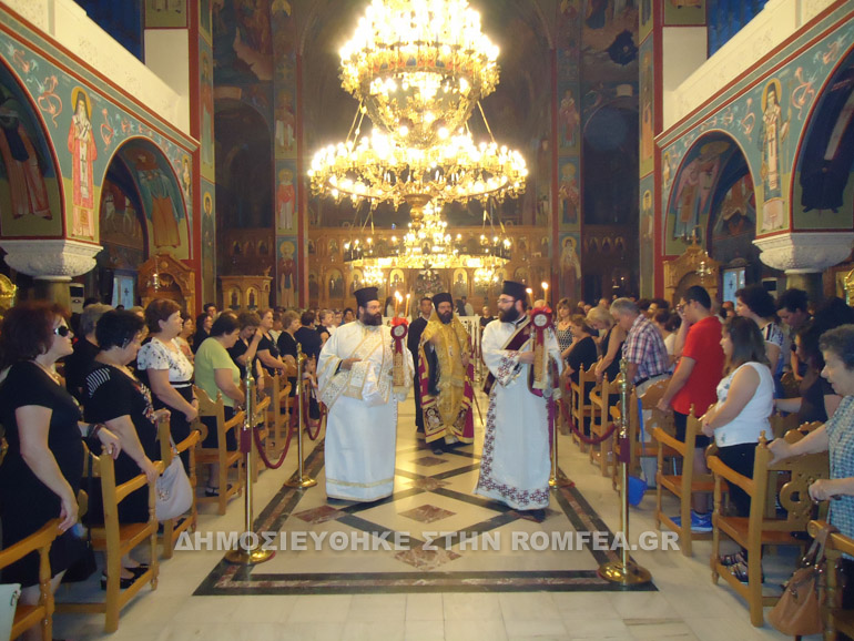 egomia komotini 1