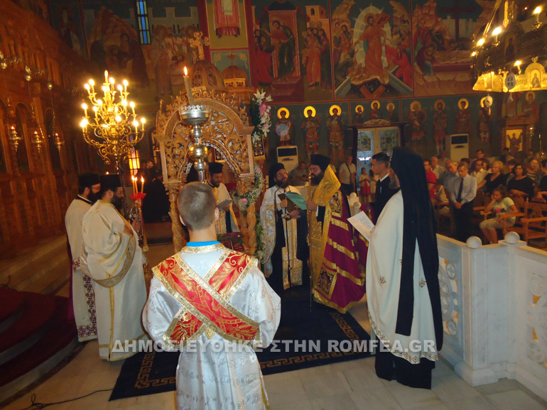 egomia komotini 1