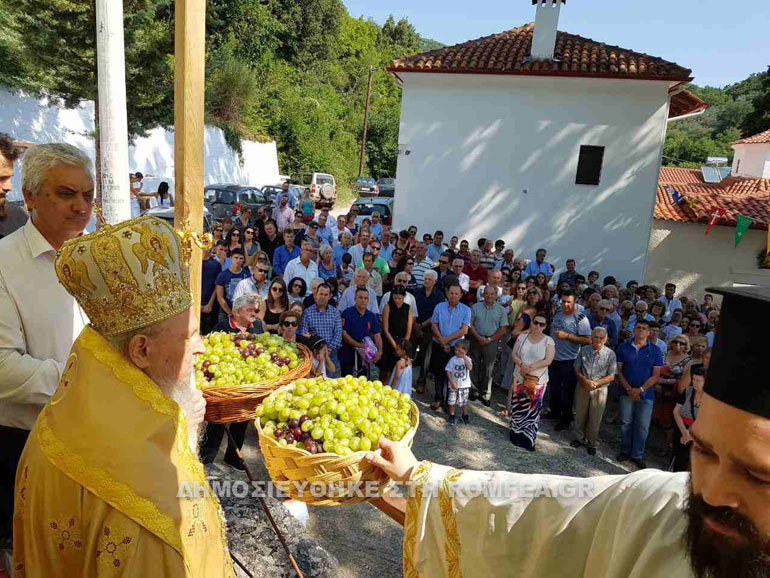 rapsani 2