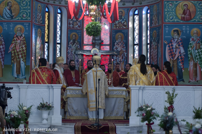 eleutheria lamia 3