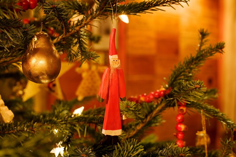 xmas dendro