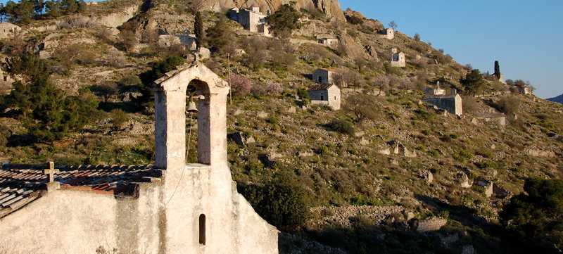 paliaxora aegina