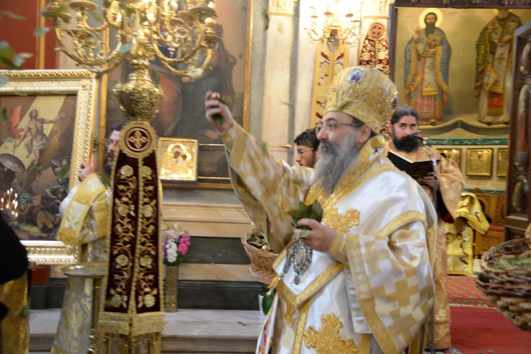 a anastasi 5
