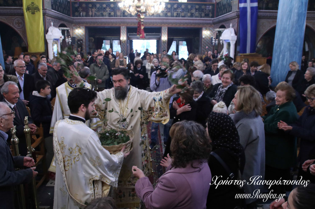 a anastasi serres 47
