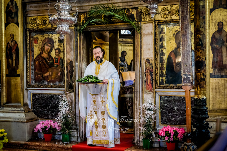 anastasi benetia