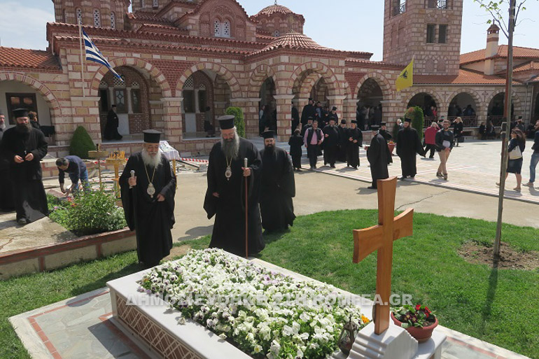 fthiotidos kitrous 2