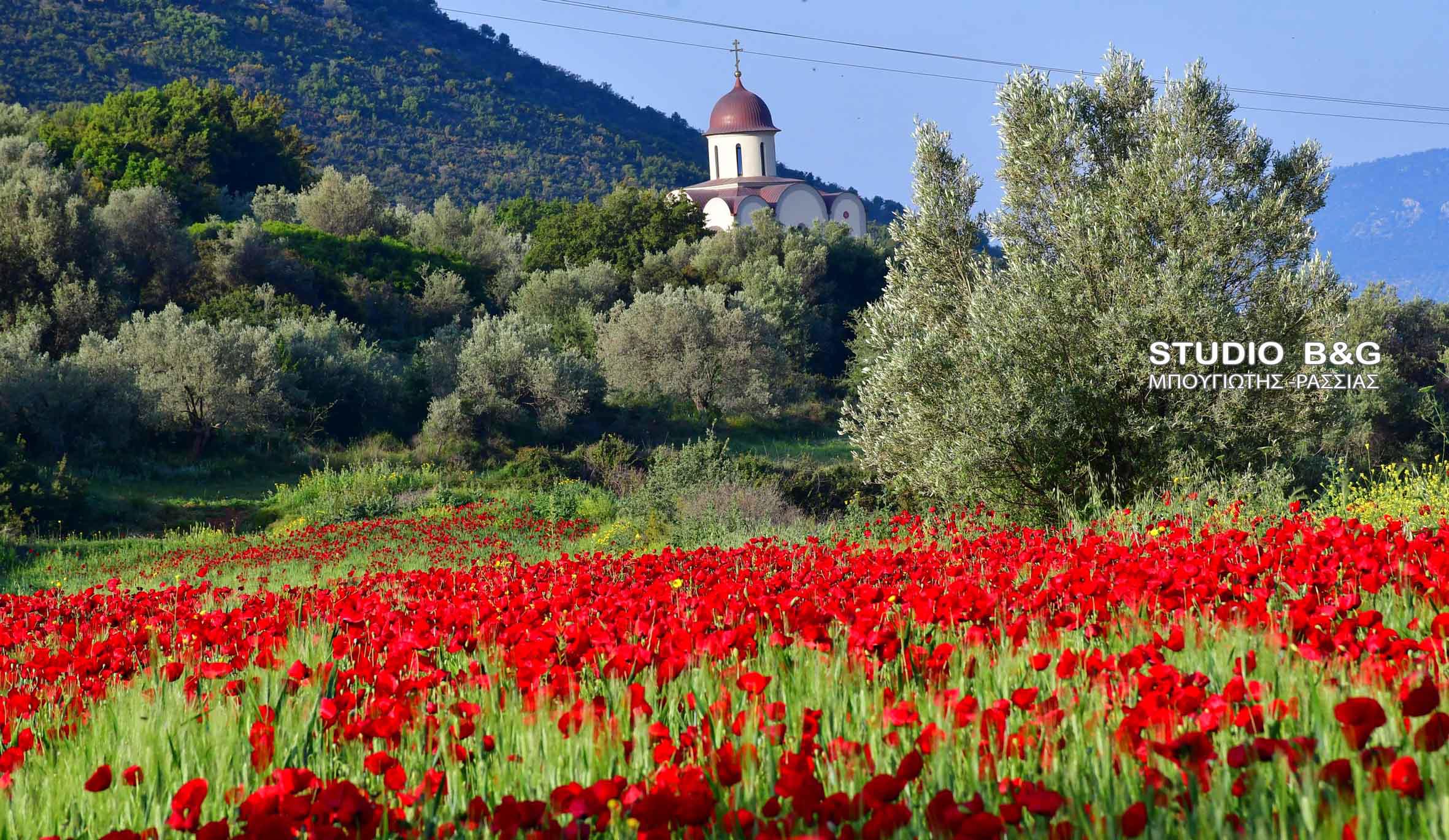 sillitourgo lefkakia 1