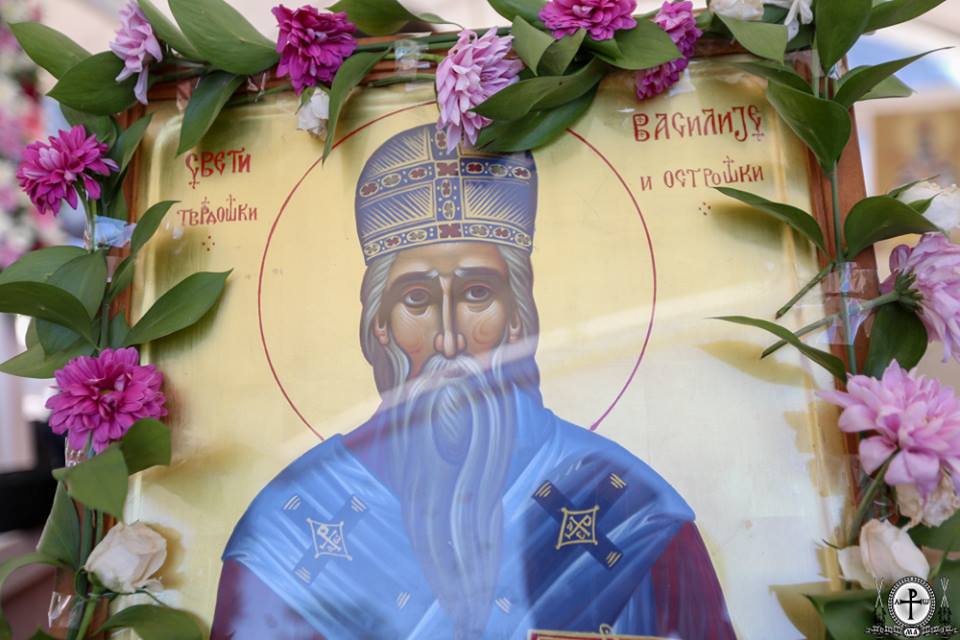 ostrogk
