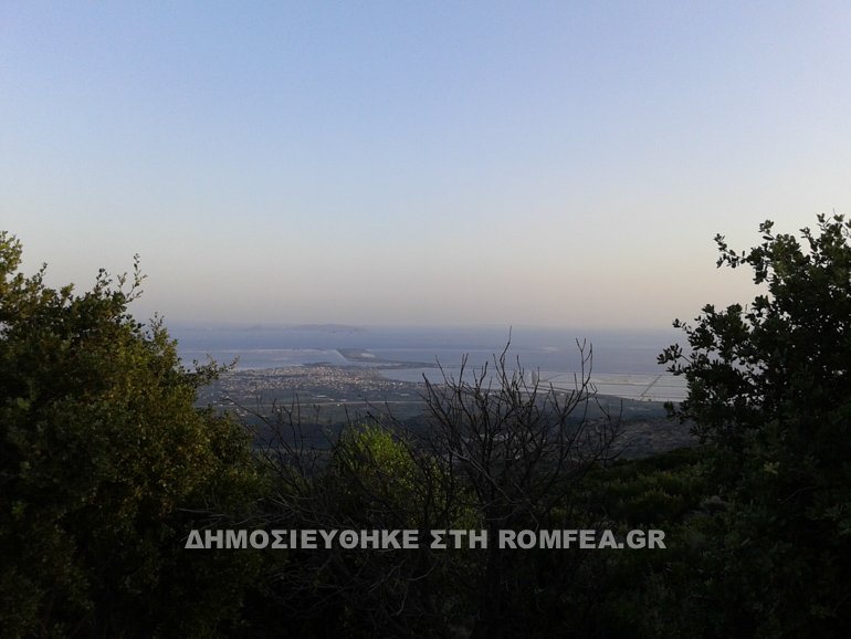 mesologgi 2