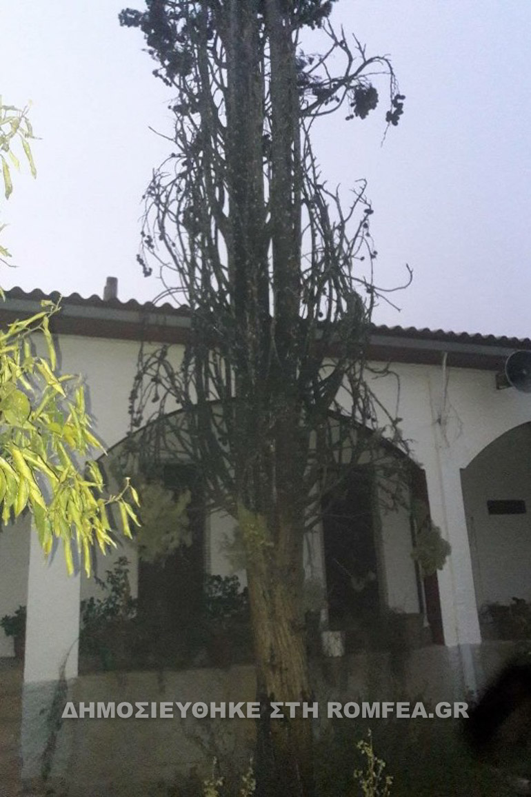 gorgoepikoou 2