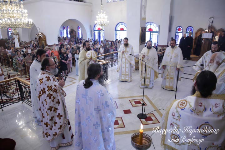alimos mirtidiotissa 1
