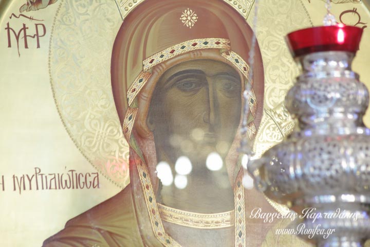 alimos mirtidiotissa 1
