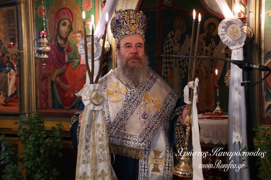 agios prodromos xalkidikis 38
