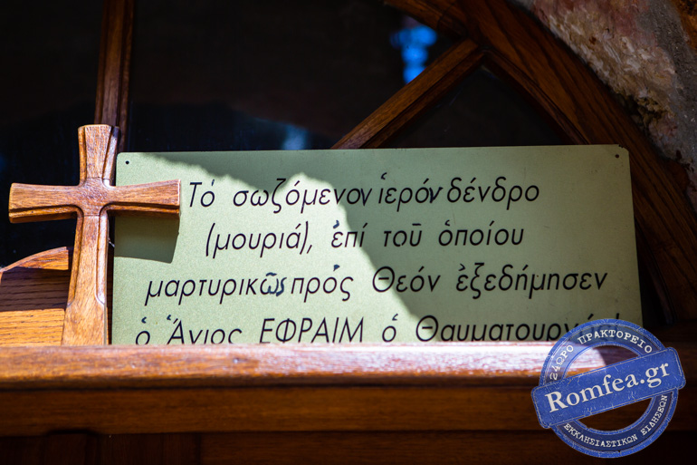 ag efraim 1