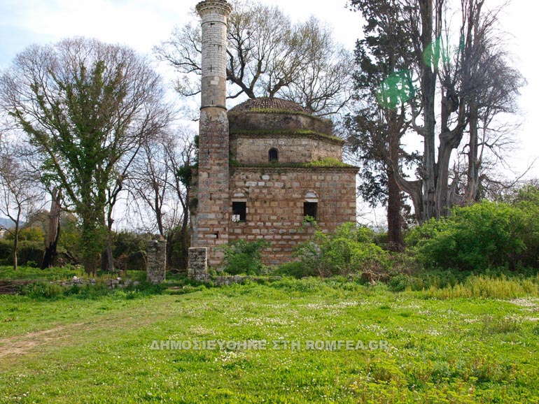 tzami arta 1