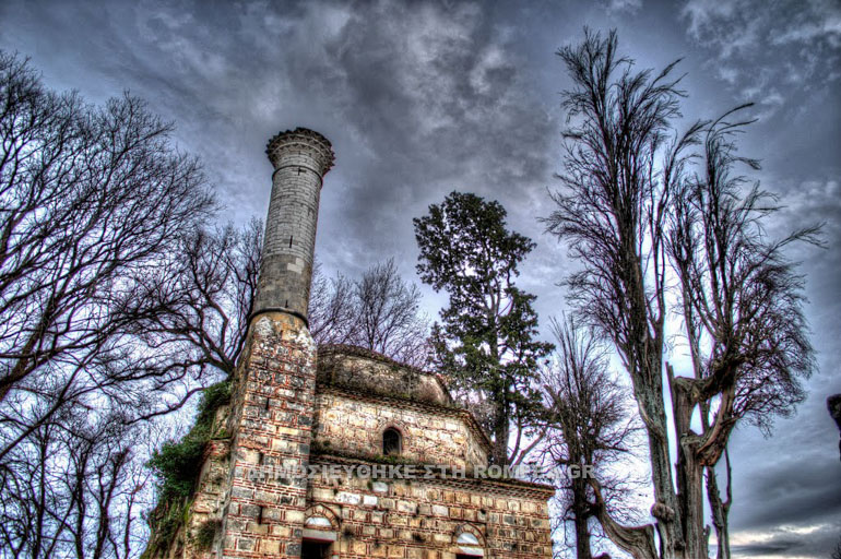 tzami arta 2