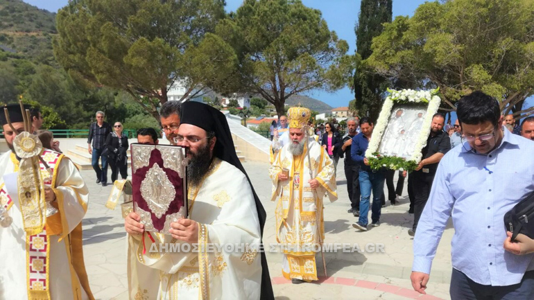 pafos 8