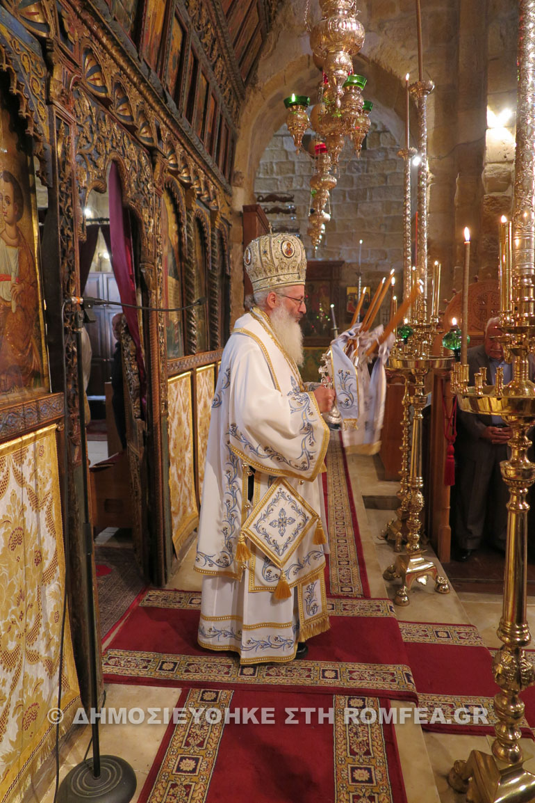 peristerona karpasias 1