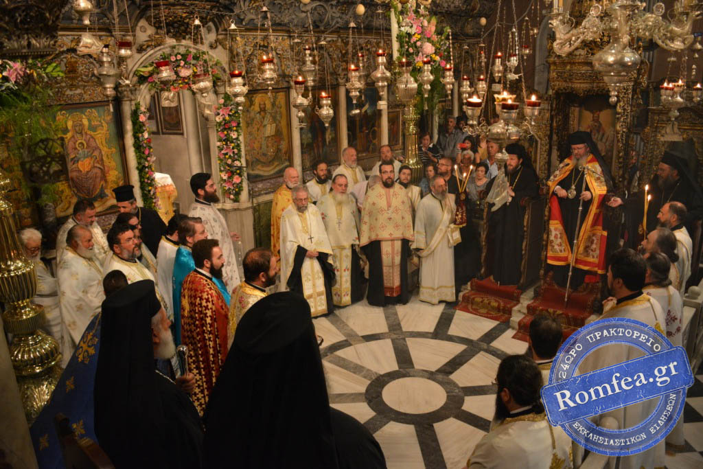 osia pelagia 41