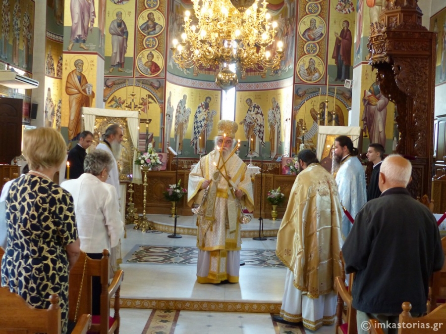 trixeroysa kastoria