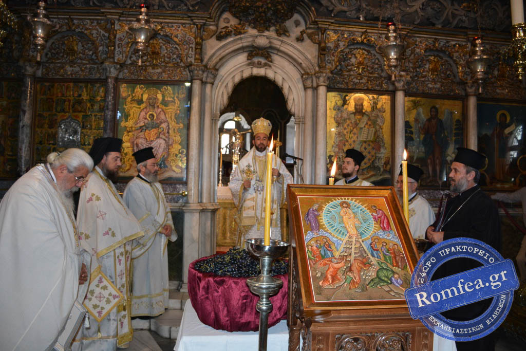 brazavil tinos 31