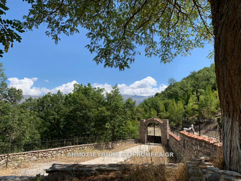 naoi albania 1