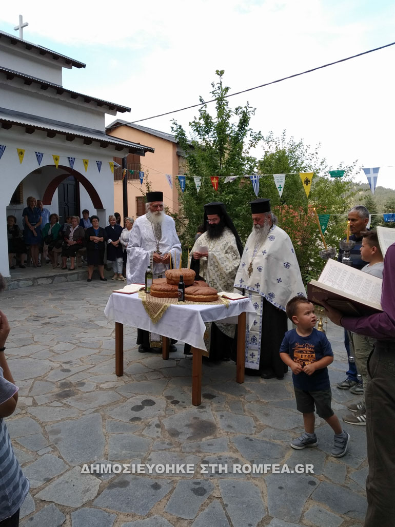 neomartiras samarina 1